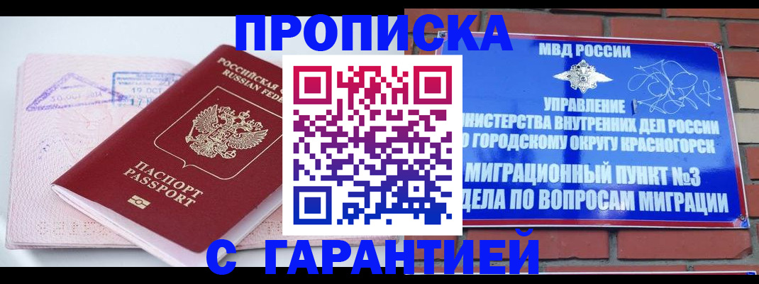 прописка законно в Сольцах